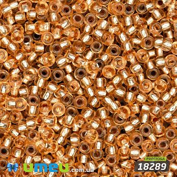 Бісер чеський №472/18289, Помаранчевий, Блискучий, 10/0 (BIS-047738)