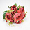 /p62195-buket-pionov-s-romashkami-32-sm/