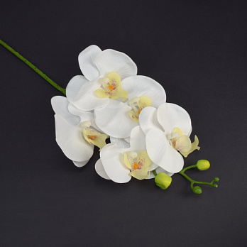 Гілка орхідеї, 70 см, Біла (DIF-057794)
