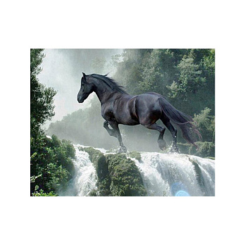 Набір алмазного живопису на підрамнику 30х40 см, Подолання (SXM-052402)