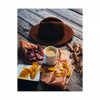 Набір алмазного живопису на підрамнику 50х40 см, В очікуванні (SXM-051391)