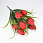 /ru/p62102-buket-tyulpanov-45-sm/