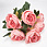 /ru/p62089-buket-pionov-43-sm/