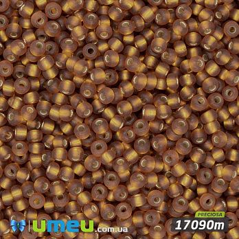 Бісер чеський №313m/17090m, Коричнево-золотий, Блискучий матовий, 10/0 (BIS-043872)