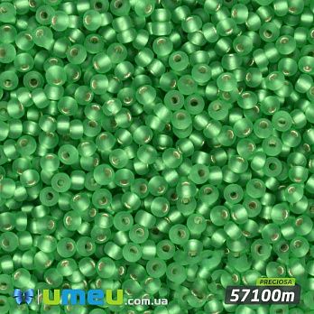 Бісер чеський №316m/57100m, Зелений, Блискучий матовий, 10/0 (BIS-018331)