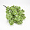 /ru/p54157-vetka-dekorativnaya-34-sm-salatovaya/