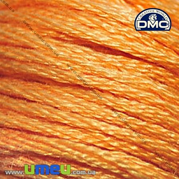 Муліне DMC 3854 Золота осінь, пор. (DMC-006284)