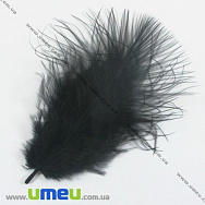 Пір'я Індички, Чорні, 4-9 см (PER-002768)