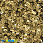 /p41812-payetki-indiya-kruglie-ploskie-3-mm-bronzovie/