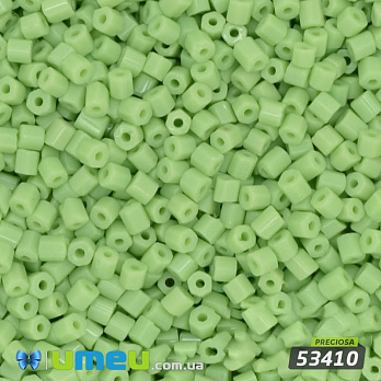 Бісер чеський Рубка 10/0, №53410, Салатовий натуральний (BIS-019550)