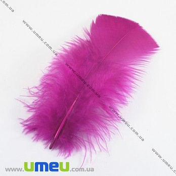 Пір'я Індички, Малинові, 7-12 см (PER-001774)