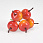 /p62778-yablochki-na-provoloke-27x22-mm/