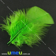 Пір'я Індички, Салатові, 7-12 см (PER-001776)