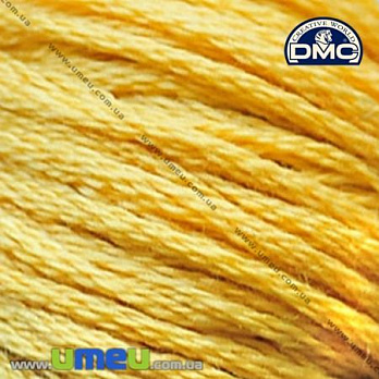 Муліне DMC 3821 Солом'яний (DMC-006251)