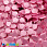 /ru/p37844-payetki-indiya-cveti-18x25-mm-rozovie/