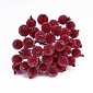 Калина в цукрі, 12 мм, Червона (DIF-052683)
