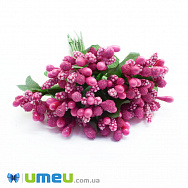 Тичинки на дроті, Малинові (DIF-044657)