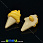 /p17775-pugovica-plastikovaya-na-nozhke-morozhenoe-21x13-mm-zheltaya-temnaya/