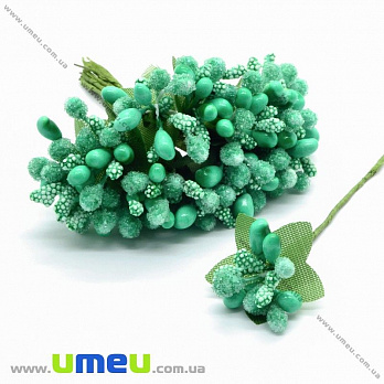 Тичинки на дроті, ятні (DIF-015437)