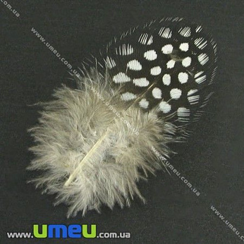 Пір'я Цесарки, Білі (Натуральні), 5-8 см (PER-002627)