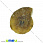 /ru/p31631-ammonit-okameneliy-24x20x5-2-mm/