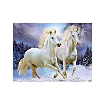 Набір алмазного живопису на підрамнику 30х40 см, Білогриві (SXM-052391)