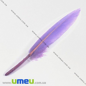 Пір'я Гусячі, Бузкові, 10-13 см (PER-002625)