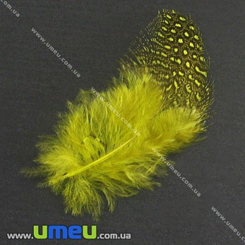 Перья Цесарки, Желтые, 5-8 см (PER-002628)
