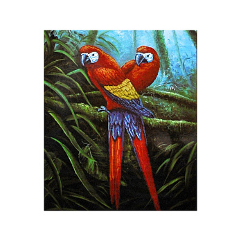 Набір для вишивання нитками, 5D Папуги, 62х52 см (SXM-061207)